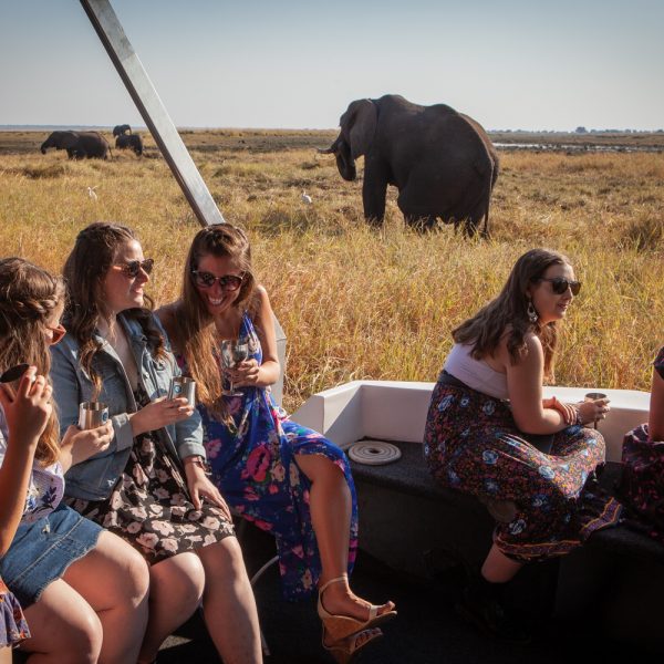 Chobe Day Trip